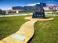 阳江天华矿业集团